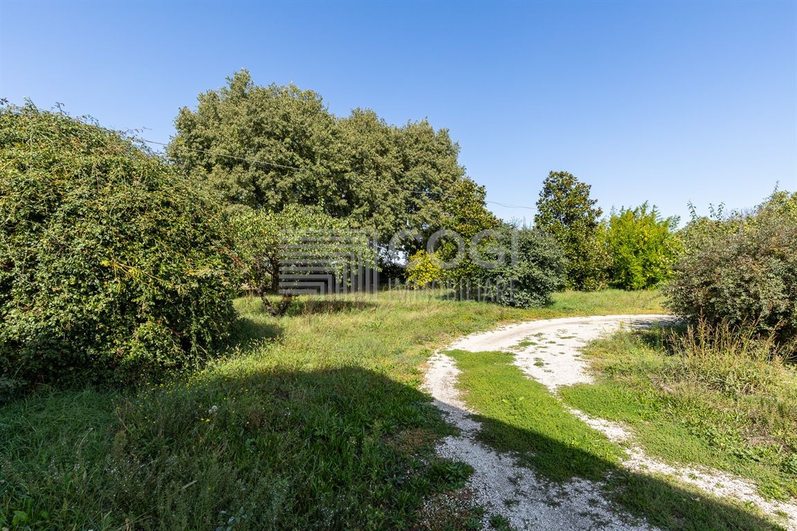 Rustico ristrutturato di  ampi spazi con 1.000 mq di giardino