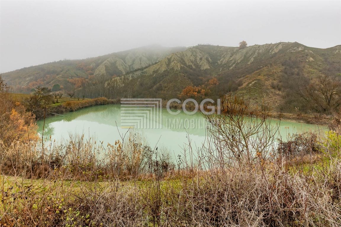 PODERE CON TERRENO AGRICOLO, LAGHETTO E DUE ABITAZIONI INDIPENDENTI