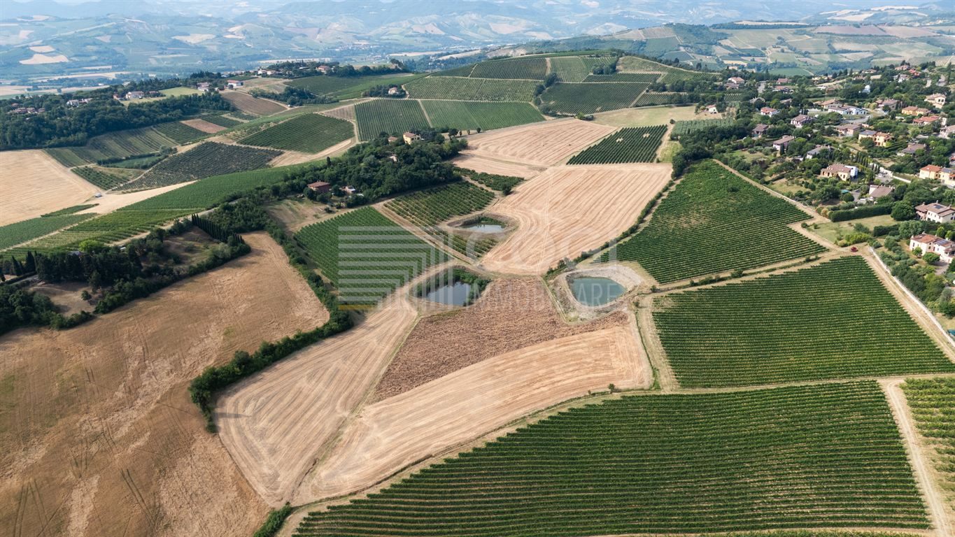 ESCLUSIVA PROPRIETÀ AGRICOLA DI OLTRE 10 ETTARI SULLE COLLINE DI IMOLA